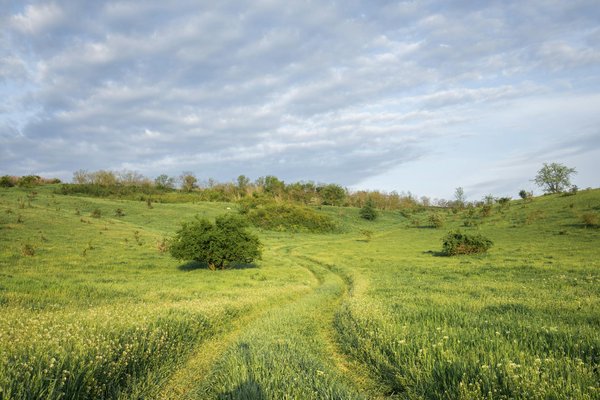 Hôtel 4 étoiles à port grimaud : confort et vues méditerranéennes