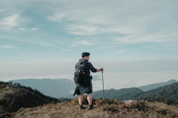 Location de maisonnette : le point sur les assurances