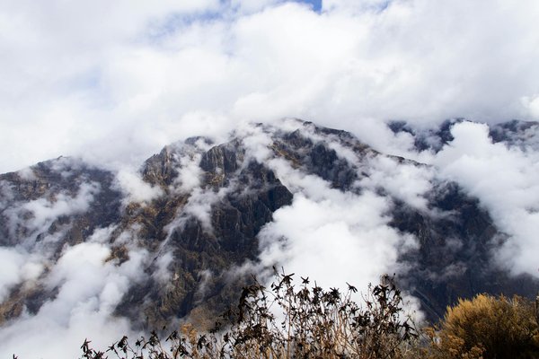 Louer une villa de luxe : que faut-il savoir ?